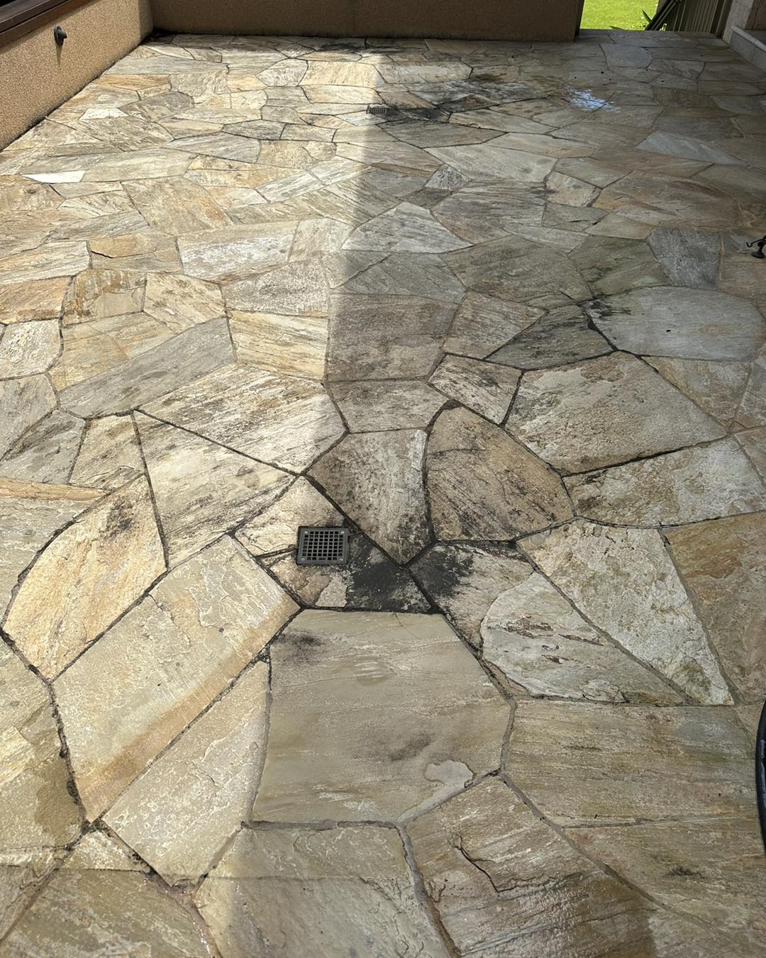 Ganir professional service kapaa, Hawaii