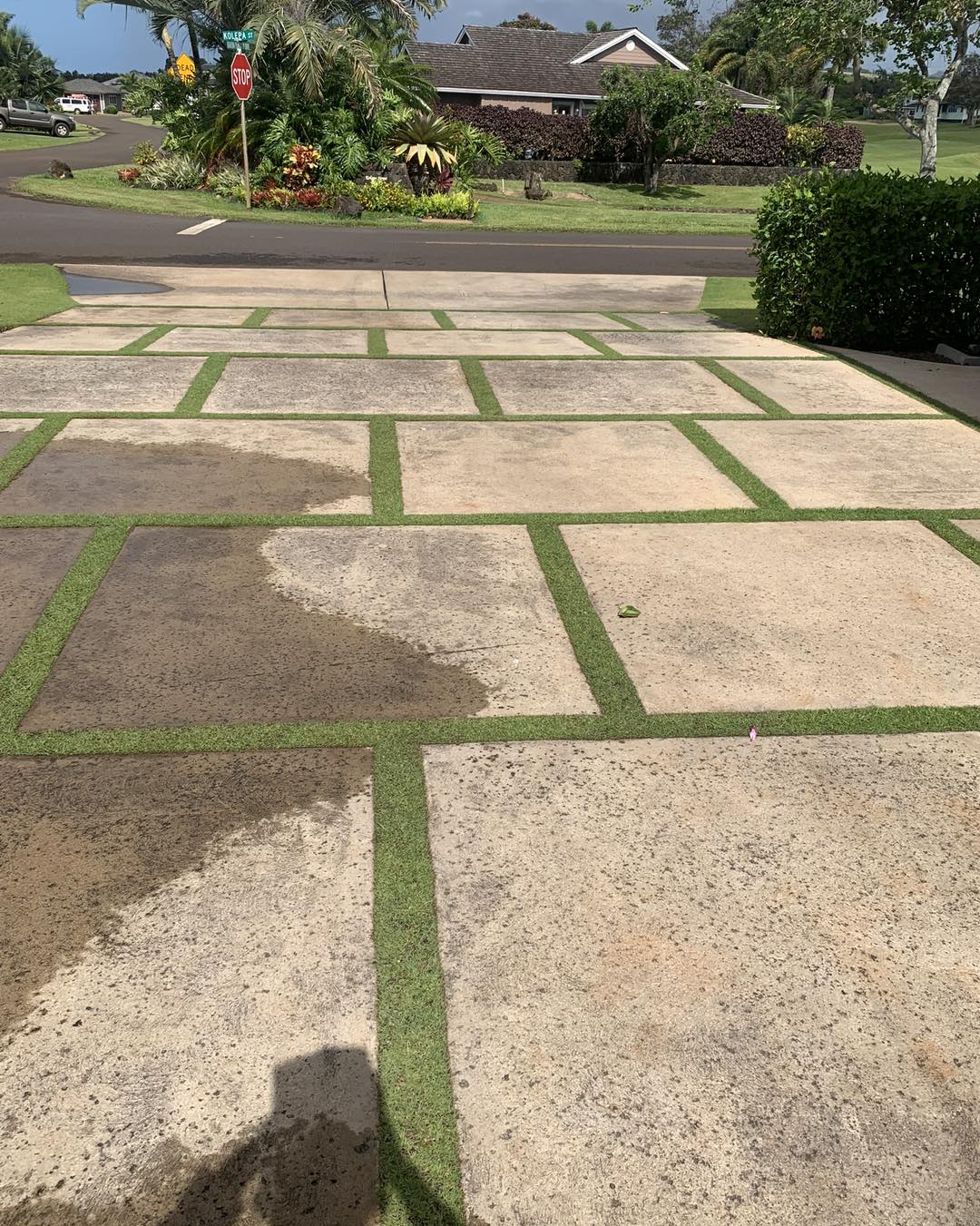 Ganir professional service kapaa, Hawaii